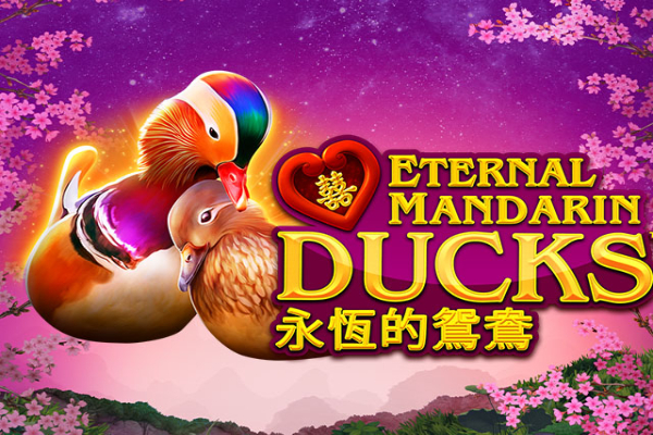 Power Prizes - Eternal Mandarin Ducks Slot Machine