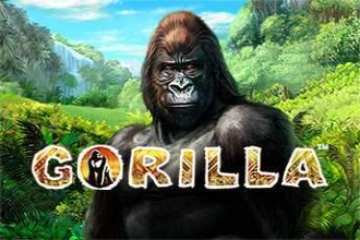 Gorilla Slot Machine
