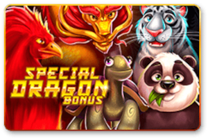 Special Dragon Bonus Slot Machine