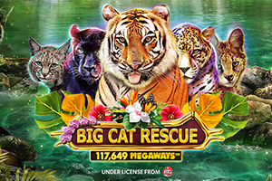 Big Cat Rescue Megaways Slot Machine