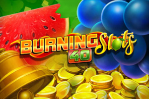 Burning Slots 40 Slot Machine